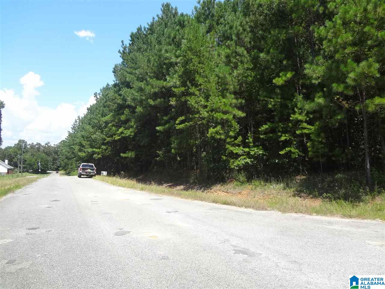 0 Beaver Ridge Circle, Unit 7 Ashville, AL 35953 - Photo 3 of 5
