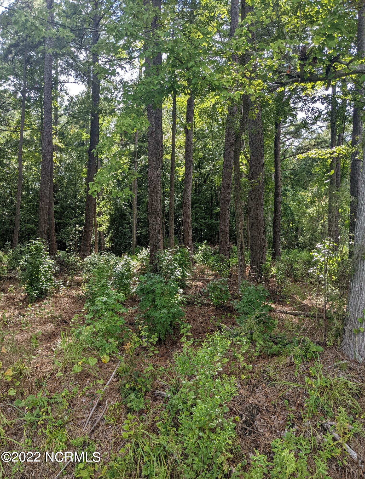 0 Watha Road Watha, NC 28478 - Photo 1 of 2 Watha Pic 1
