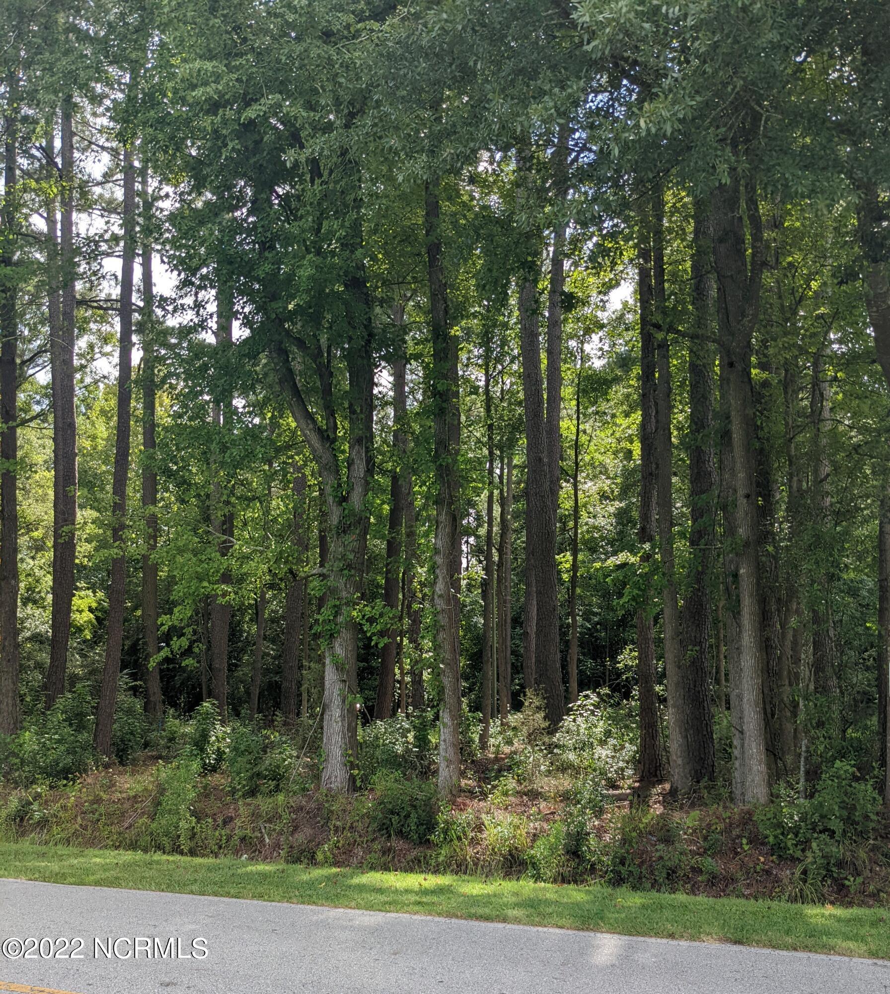 0 Watha Road Watha, NC 28478 - Photo 2 of 2 Watha pic