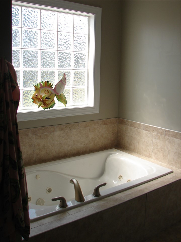 213 Raven Ridge Court Swansboro, NC 28584 - Photo 11 of 22 master bathroom