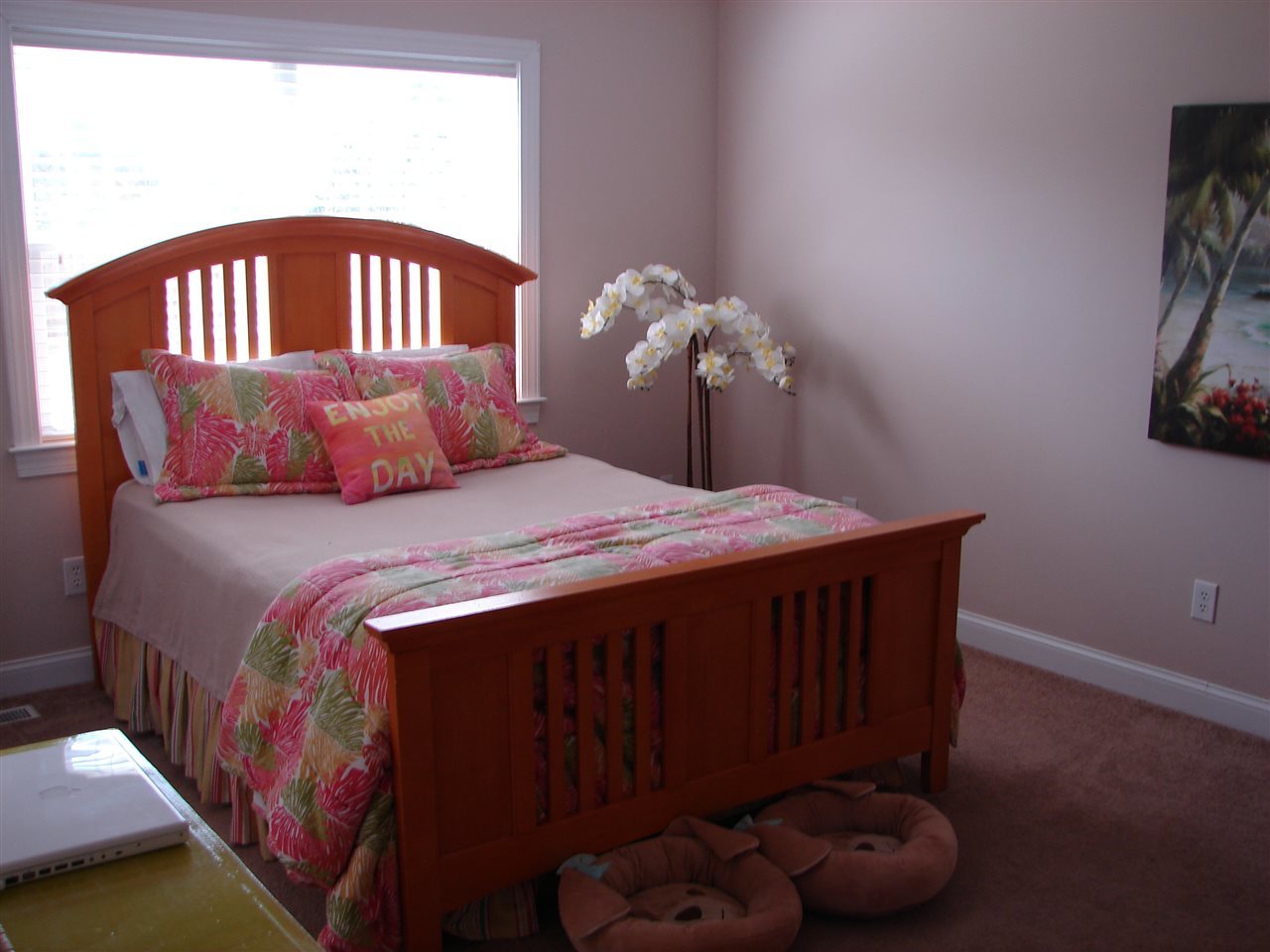 213 Raven Ridge Court Swansboro, NC 28584 - Photo 9 of 22 Master Bedroom