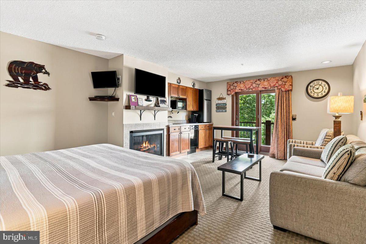 565 Glendale Road, Unit 213 Oakland, MD 21550 - Photo 3 of 24 Gallery Image 3