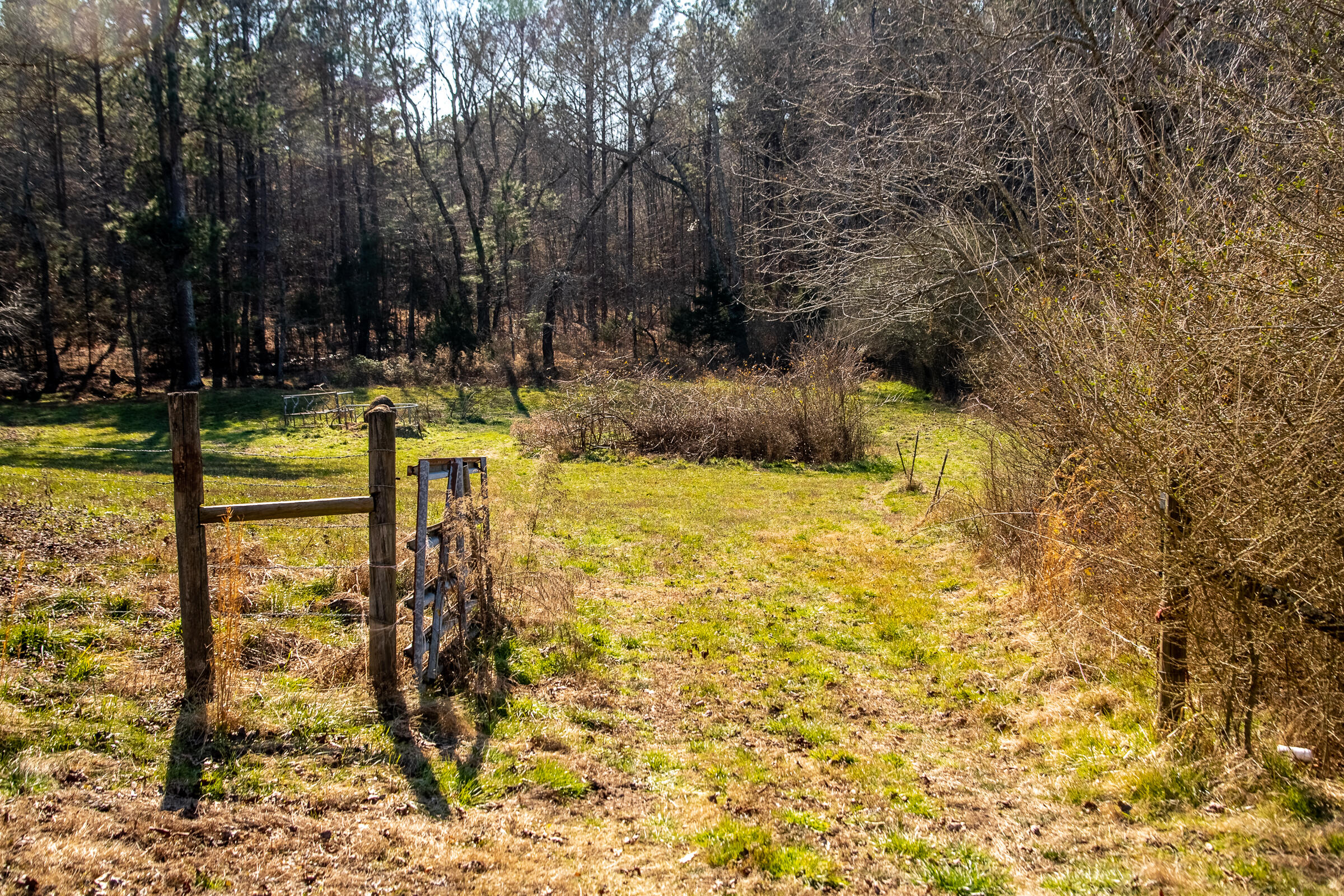 7340 Runyan Road Georgetown, TN 37336 - Photo 16 of 20 Runyan-16
