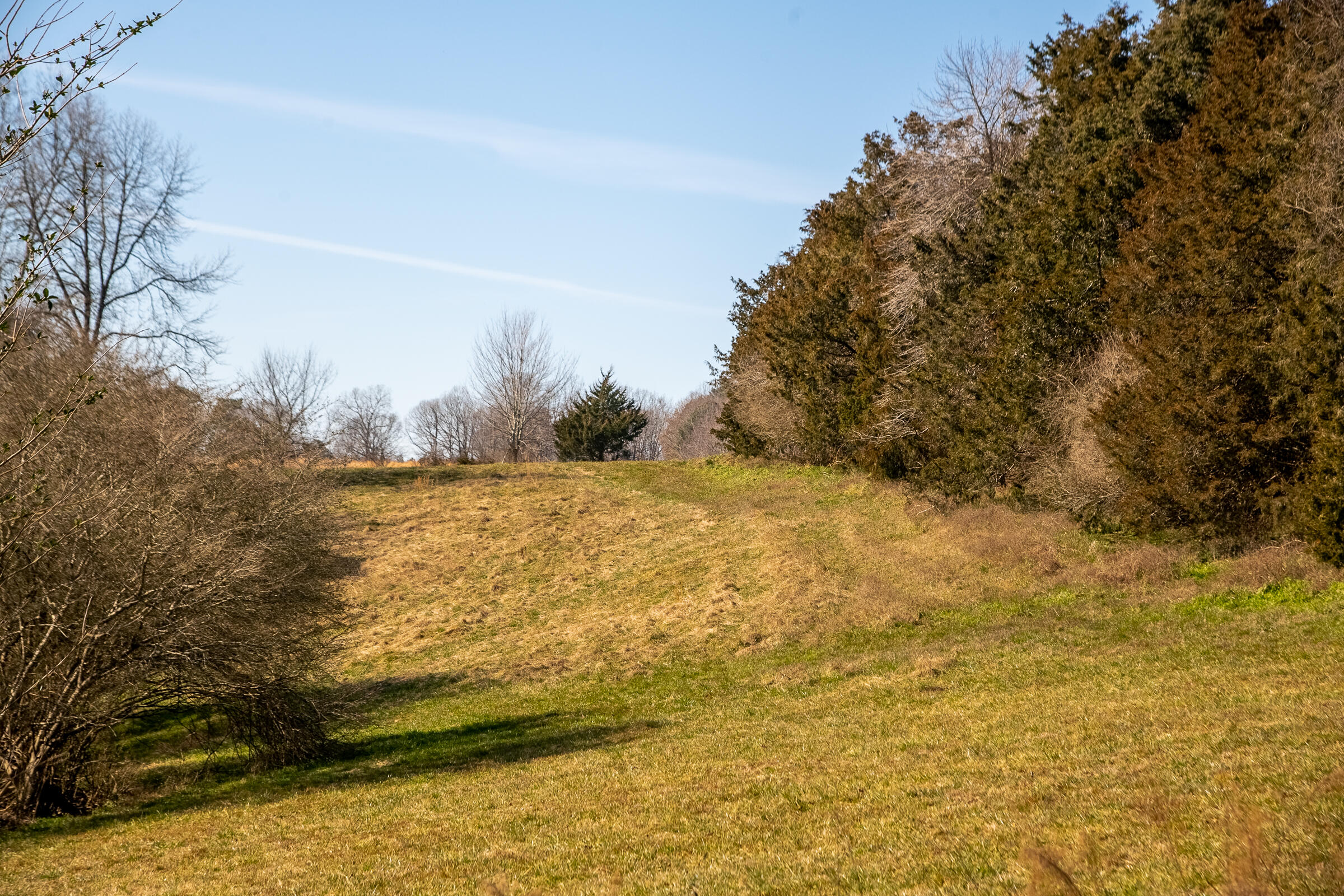7340 Runyan Road Georgetown, TN 37336 - Photo 19 of 20 Runyan-19