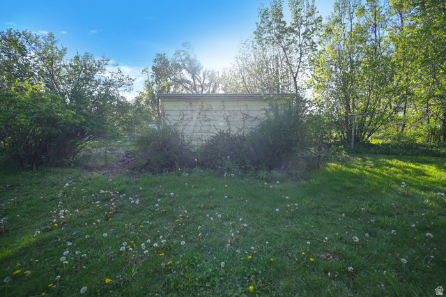 178 West 300 South Logan, UT 84321 - Photo 36 of 41 Backyard/shed