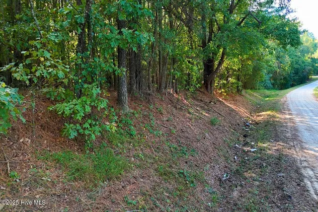 $299,900 | 0 Bissette Road, Sims, NC 27880