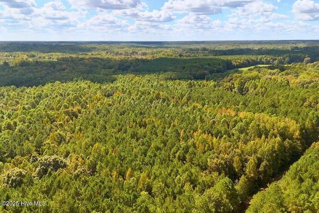 $299,900 | 0 Bissette Road, Sims, NC 27880