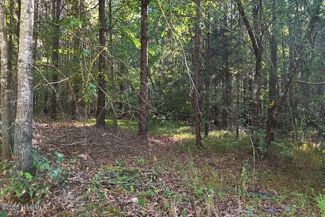 $299,900 | 0 Bissette Road, Sims, NC 27880