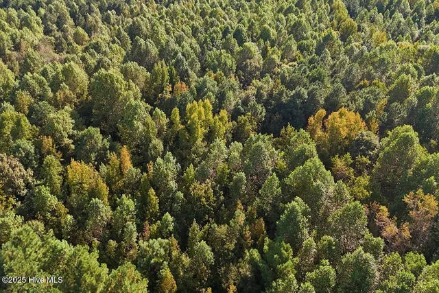 $299,900 | 0 Bissette Road, Sims, NC 27880