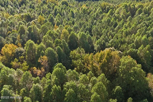 $299,900 | 0 Bissette Road, Sims, NC 27880