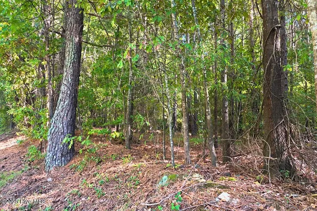 $299,900 | 0 Bissette Road, Sims, NC 27880