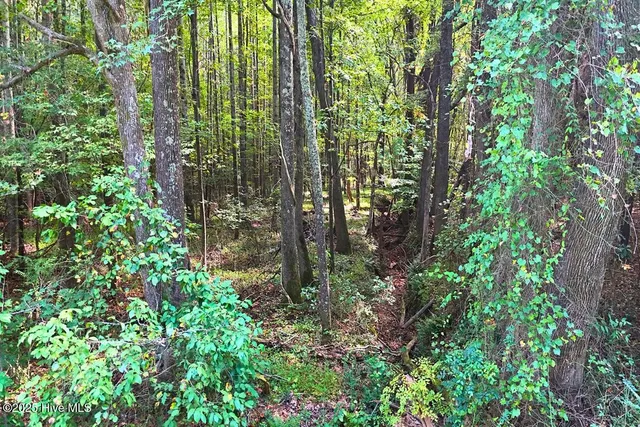 $299,900 | 0 Bissette Road, Sims, NC 27880