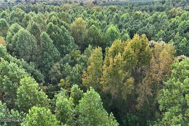 $299,900 | 0 Bissette Road, Sims, NC 27880