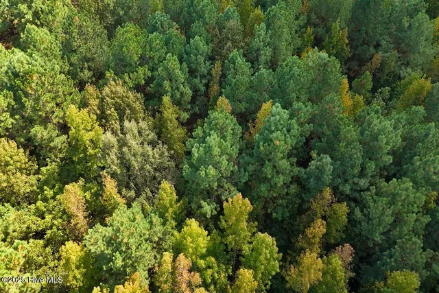 $299,900 | 0 Bissette Road, Sims, NC 27880