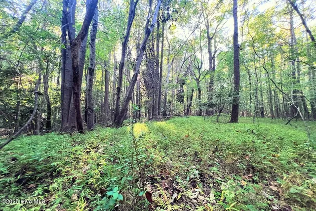 $299,900 | 0 Bissette Road, Sims, NC 27880