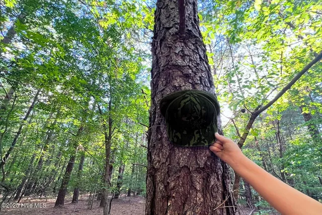 $299,900 | 0 Bissette Road, Sims, NC 27880