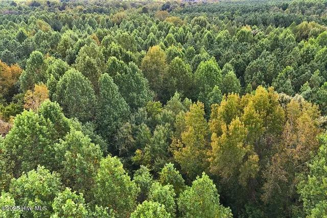 $299,900 | 0 Bissette Road, Sims, NC 27880