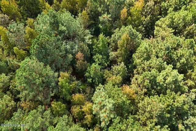 $299,900 | 0 Bissette Road, Sims, NC 27880