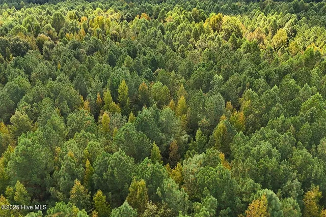 $299,900 | 0 Bissette Road, Sims, NC 27880