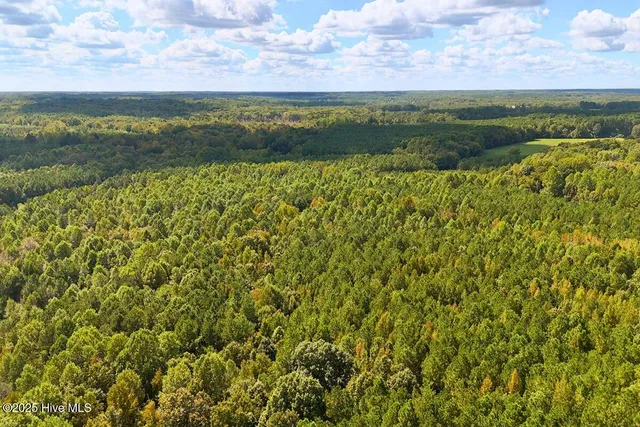 $299,900 | 0 Bissette Road, Sims, NC 27880