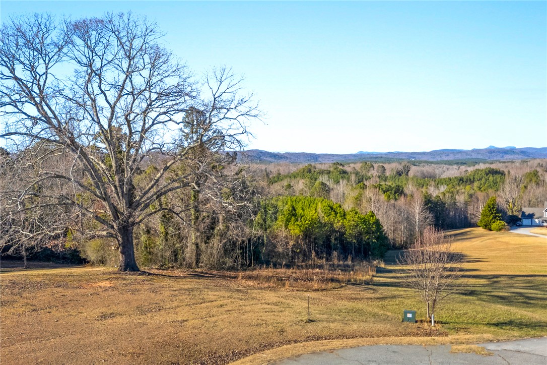 0 Heavenview Drive Walhalla, SC 29691 - Photo 14 of 16