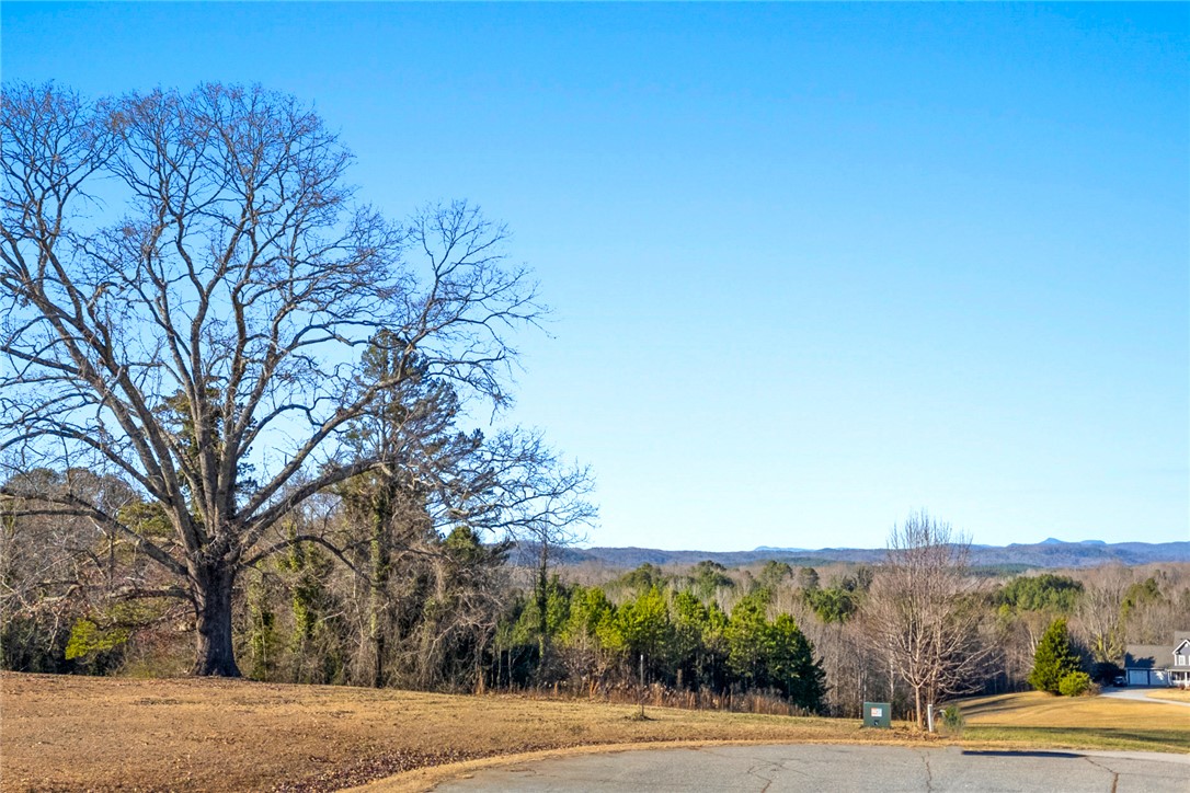 0 Heavenview Drive Walhalla, SC 29691 - Photo 15 of 16