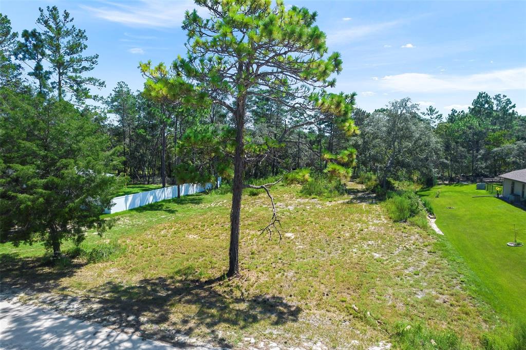 8404 Cockatoo Road Weeki Wachee, FL 34613 - Photo 1 of 1 Gallery Image 1