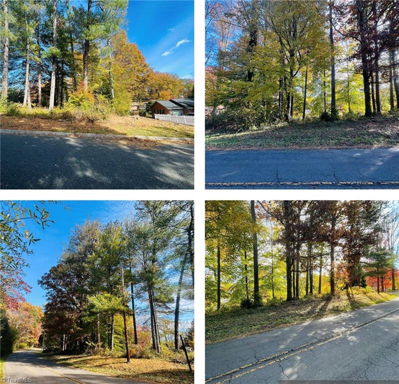 Tbd Old Springs Road Mount Airy, NC 27030 - Photo 17 of 17