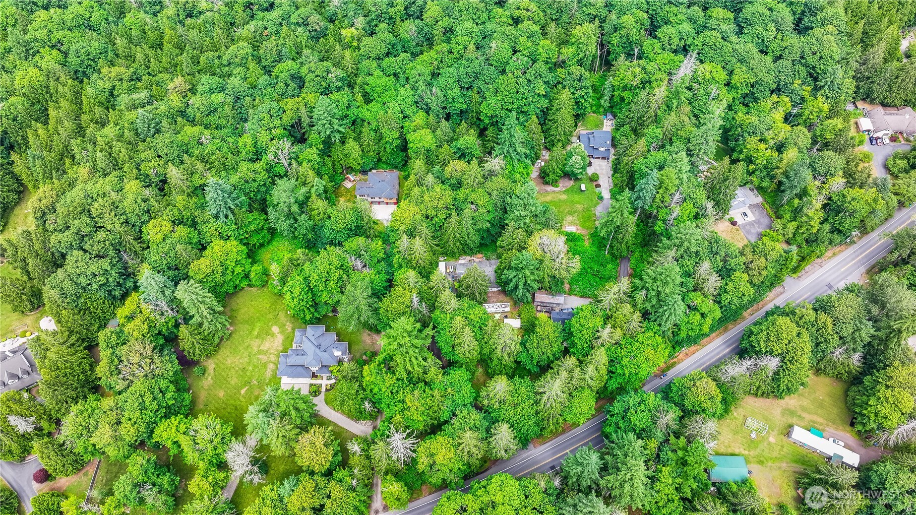 28818 Northeast Tolt Hill Road Carnation, WA 98014 - Photo 3 of 12 a view of a lush green forest with lots of trees