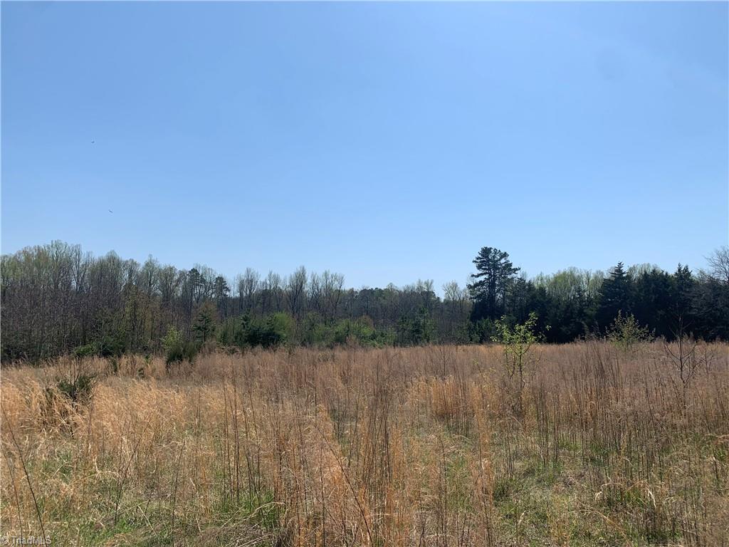 3580 Bernie Road Climax, NC 27233 - Photo 1 of 5 Gallery Image 1