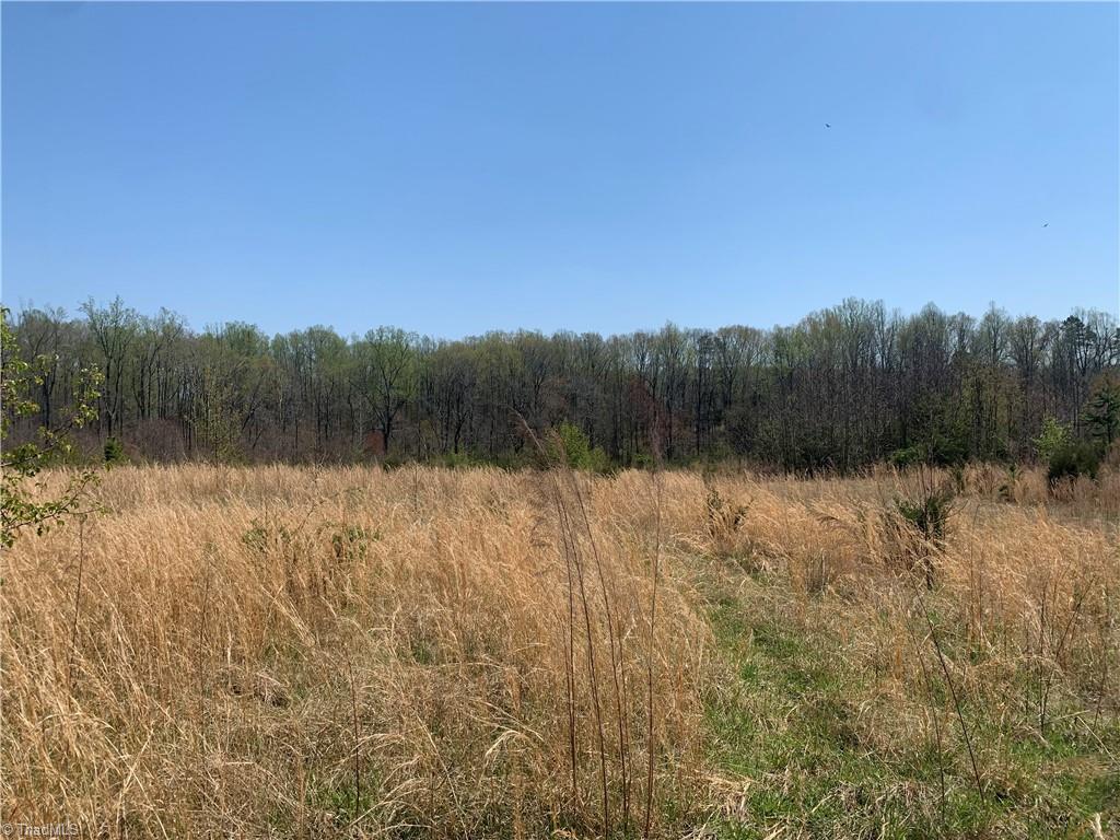 3580 Bernie Road Climax, NC 27233 - Photo 2 of 5 Gallery Image 2