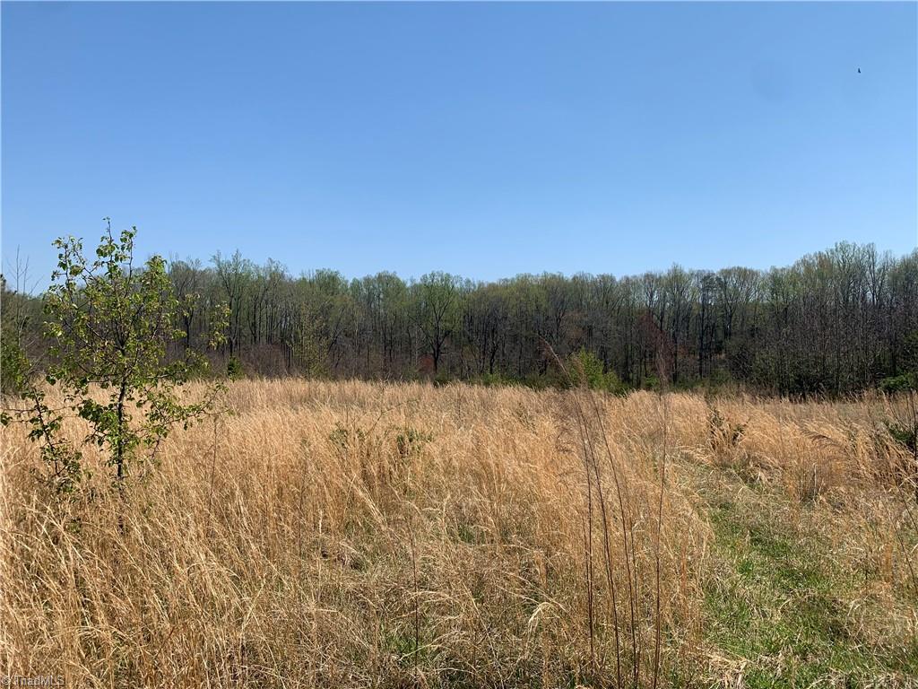 3580 Bernie Road Climax, NC 27233 - Photo 3 of 5 Gallery Image 3