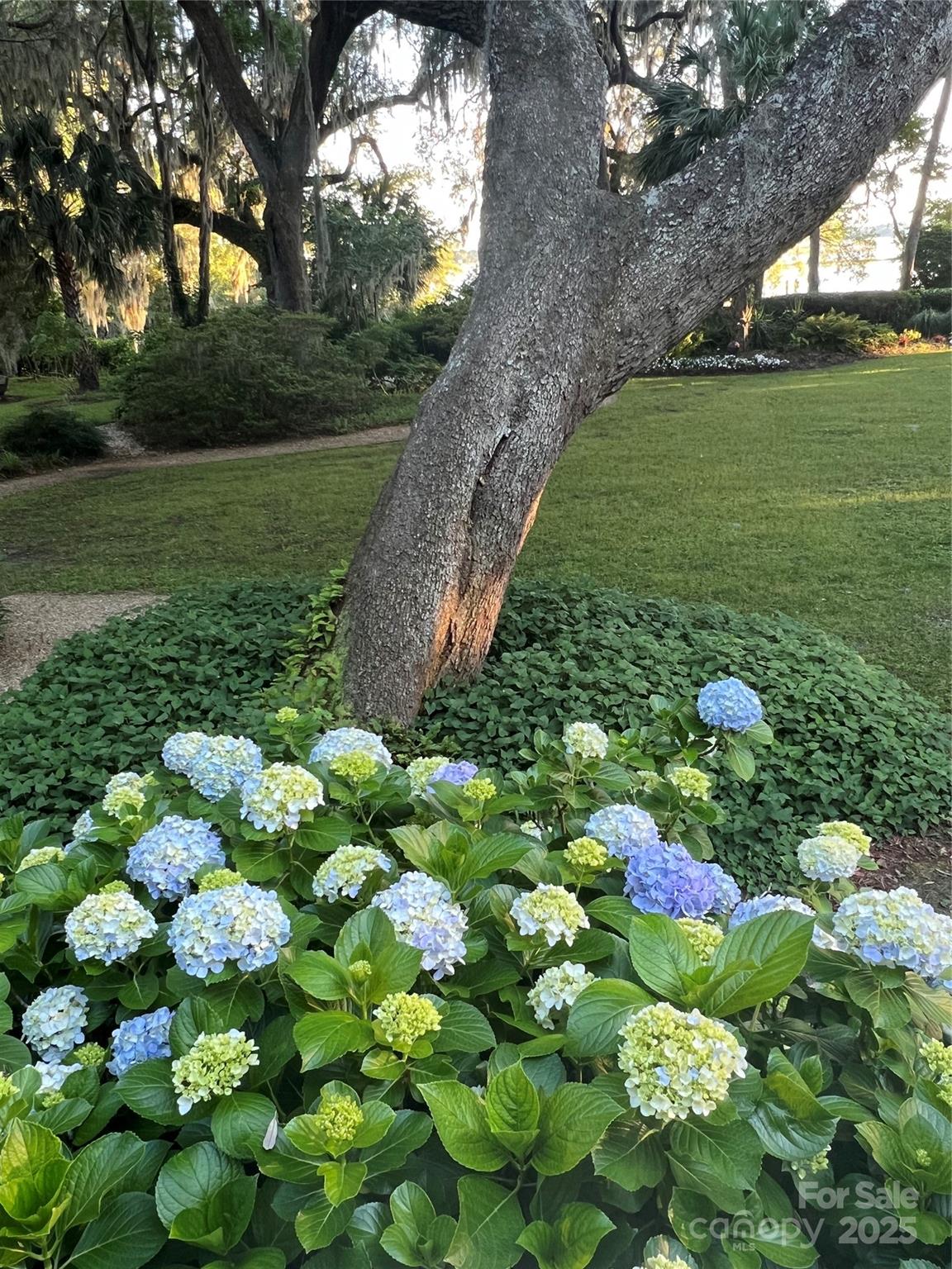131 Pritchard Street Bluffton, SC 29910 - Photo 30 of 47 a view of a garden with flowers