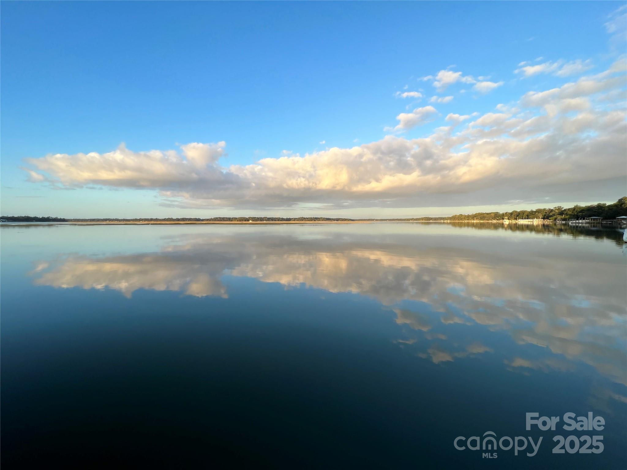 131 Pritchard Street Bluffton, SC 29910 - Photo 45 of 47