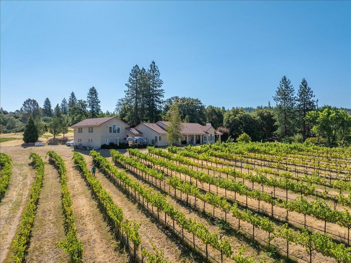 31630 Forward Road Manton, CA 96059 - Photo 59 of 73 Gallery Image 59