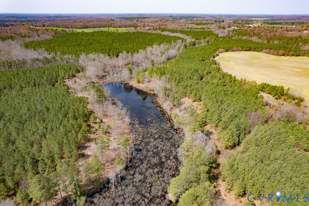 32082 Sparta Road Milford, VA 22514 - Photo 29 of 39 a view of lake view and mountain view