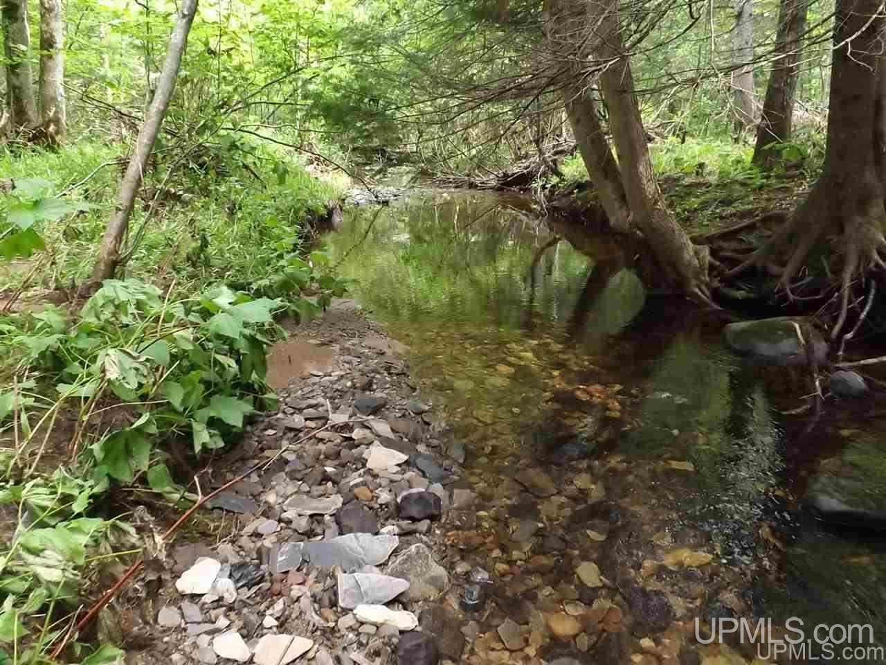 Tbd Ford Farm Road Skanee, MI 49962 - Photo 17 of 27
