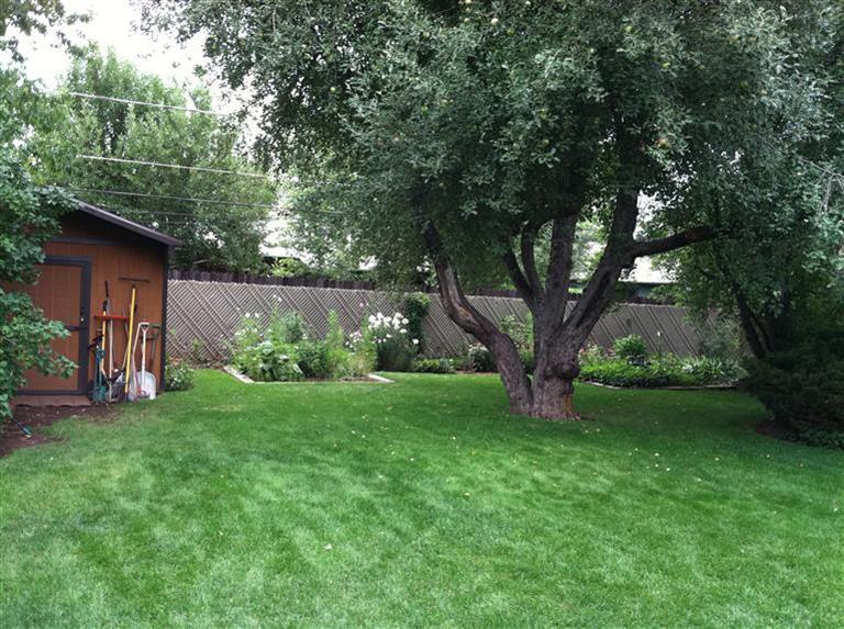323 West Apache Road Flagstaff, AZ 86001 - Photo 13 of 18 Additional Photo