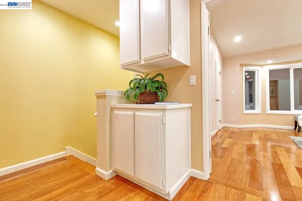 a view of a tree in the middle of a yard