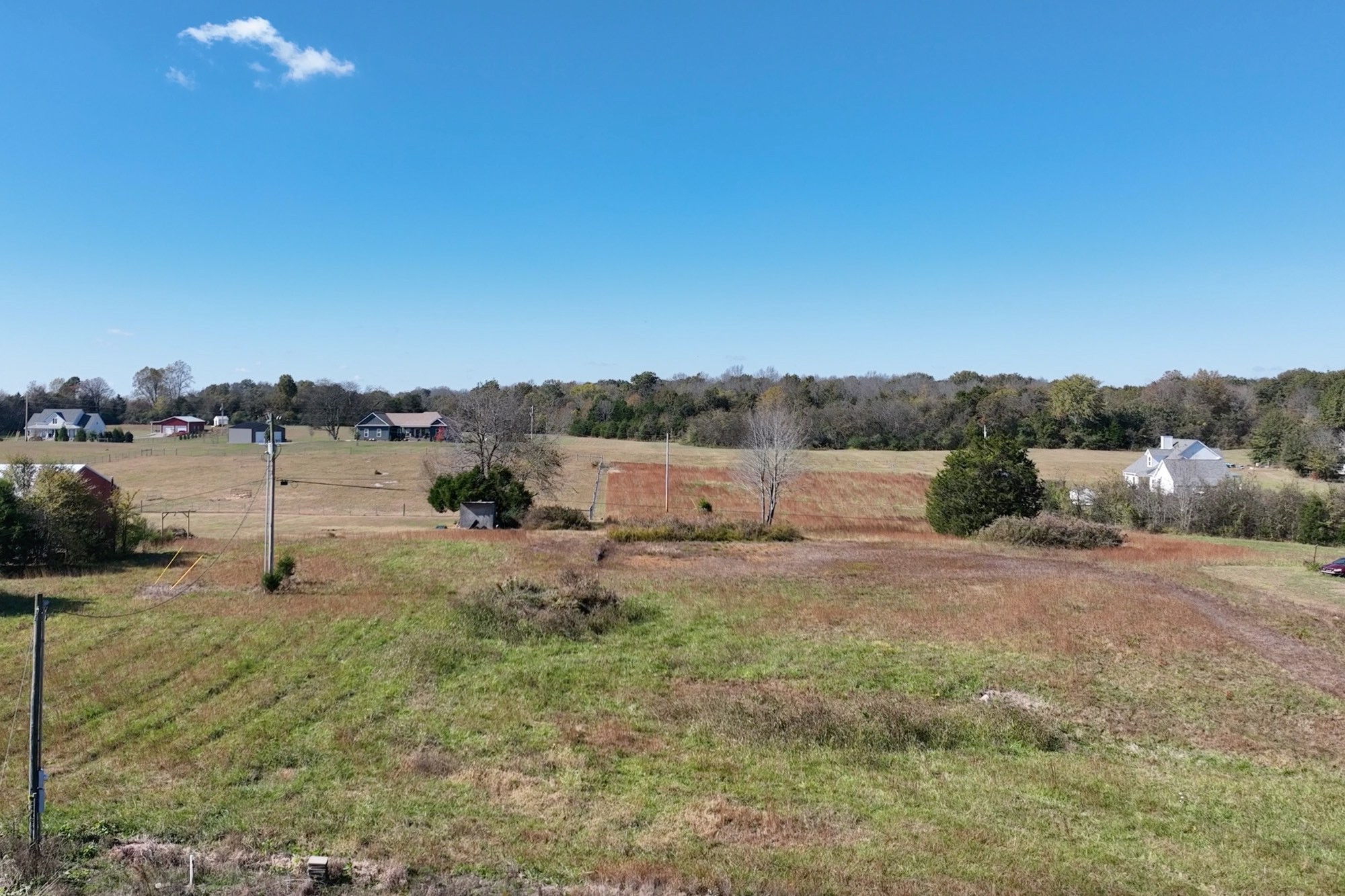 3520 Arthur Sampson Road Columbia, TN 38401 - Photo 15 of 17 a view of a field with trees in the background