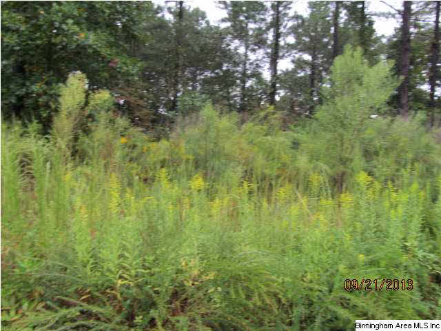 0 Lock 4 Road, Unit 3 PARCEL Lincoln, AL 35096 - Photo 7 of 10