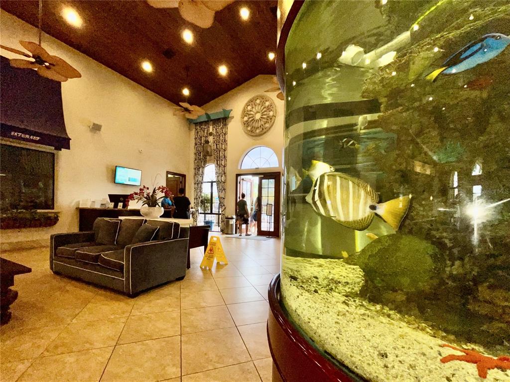 8964 Cat Palm Road Kissimmee, FL 34747 - Photo 45 of 47 Gallery Image 45