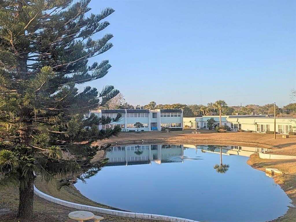 5434 Chad Place, Unit 14 New Port Richey, FL 34652 - Photo 13 of 13 a view of a lake with a city