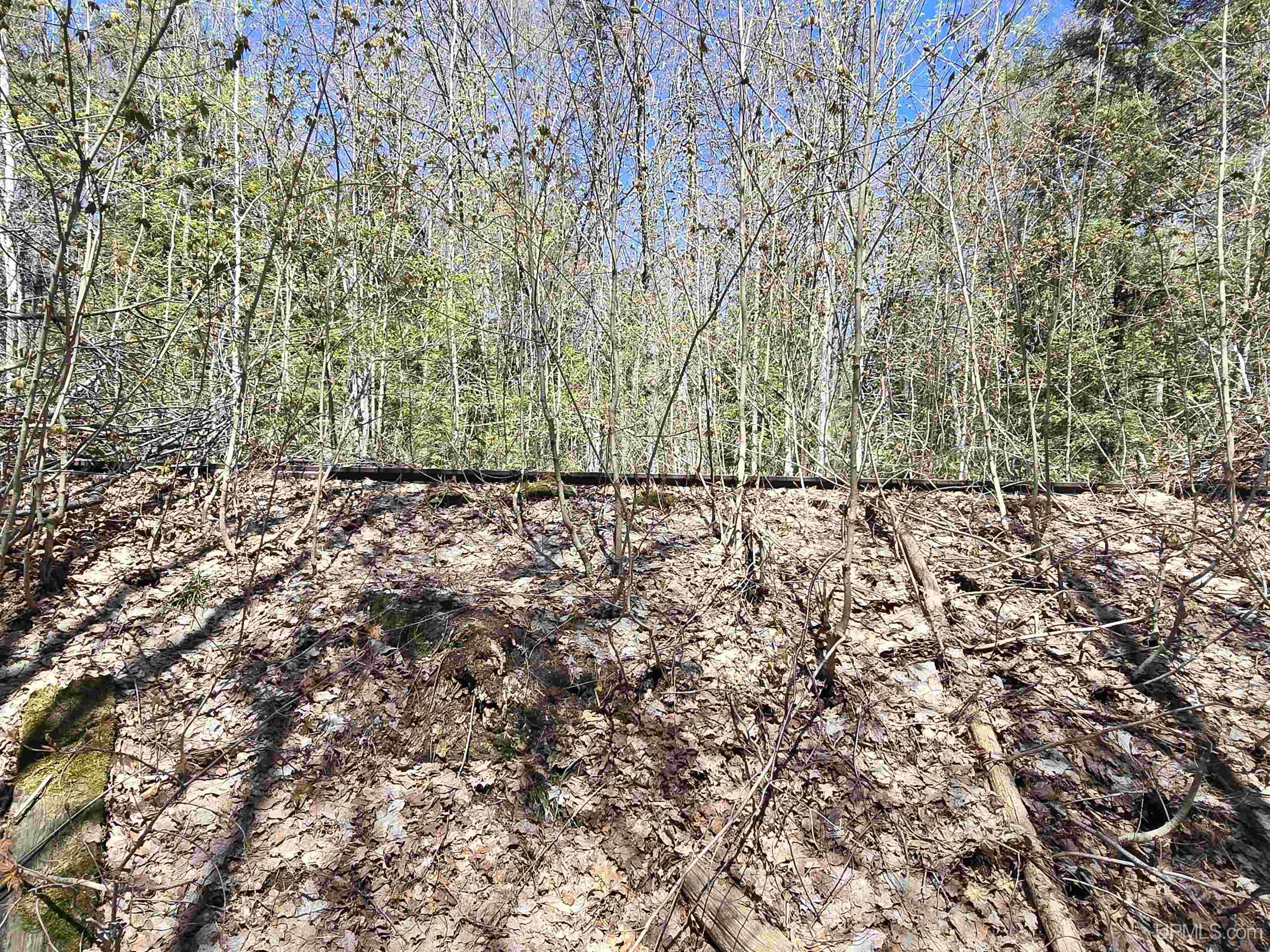 Tbd Murphy Road Covington, MI 49919 - Photo 26 of 57