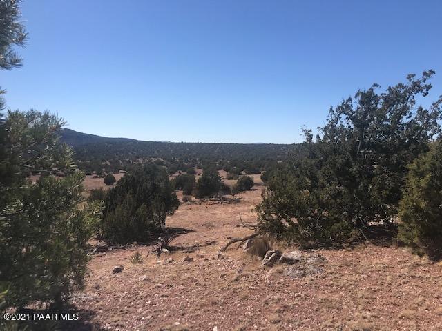 39 Off Of Arizona Road Ash Fork, AZ 86320 - Photo 27 of 27 IMG_0984