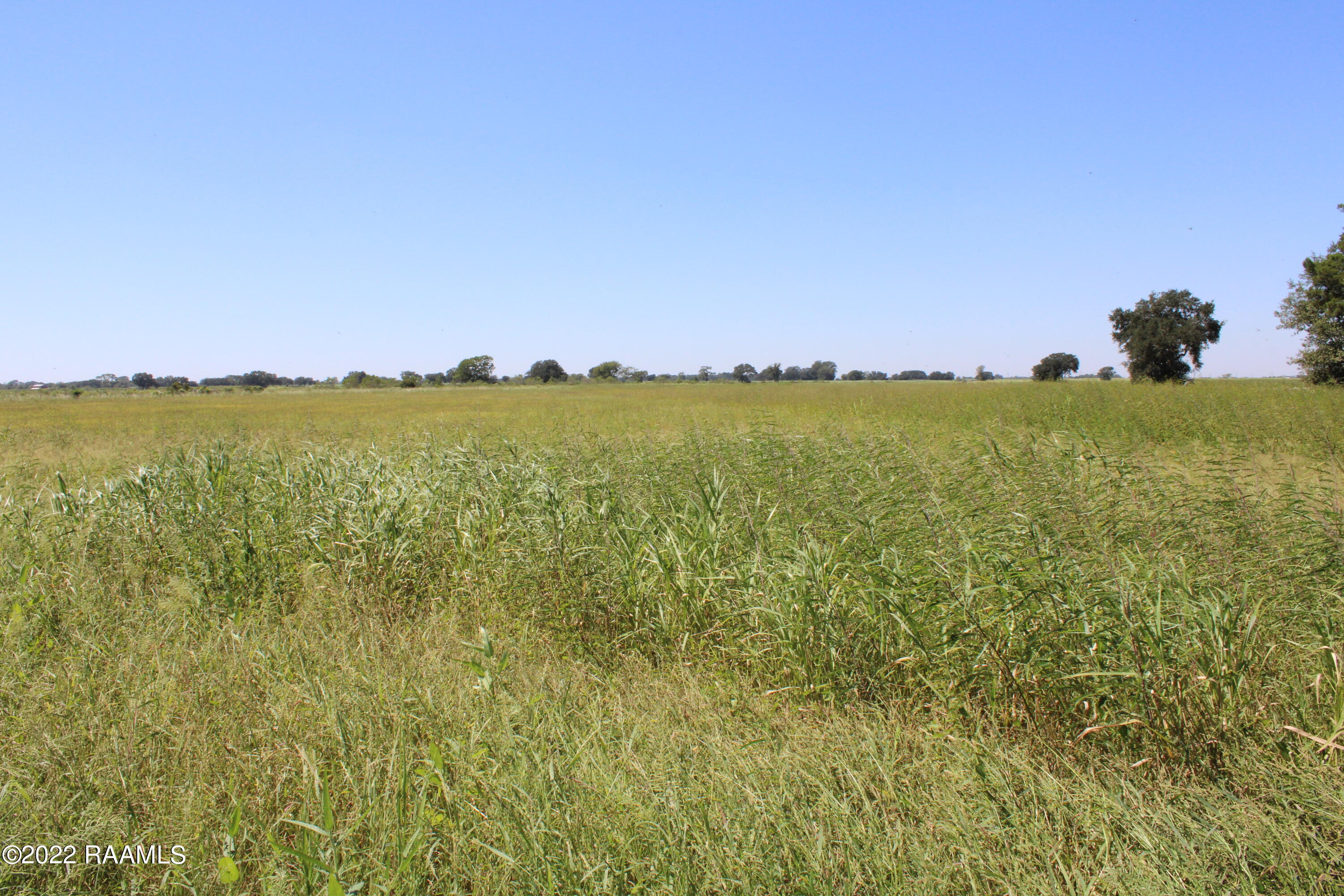 Tbd Napoleon Road Maurice, LA 70555 - Photo 2 of 3 IMG_0097