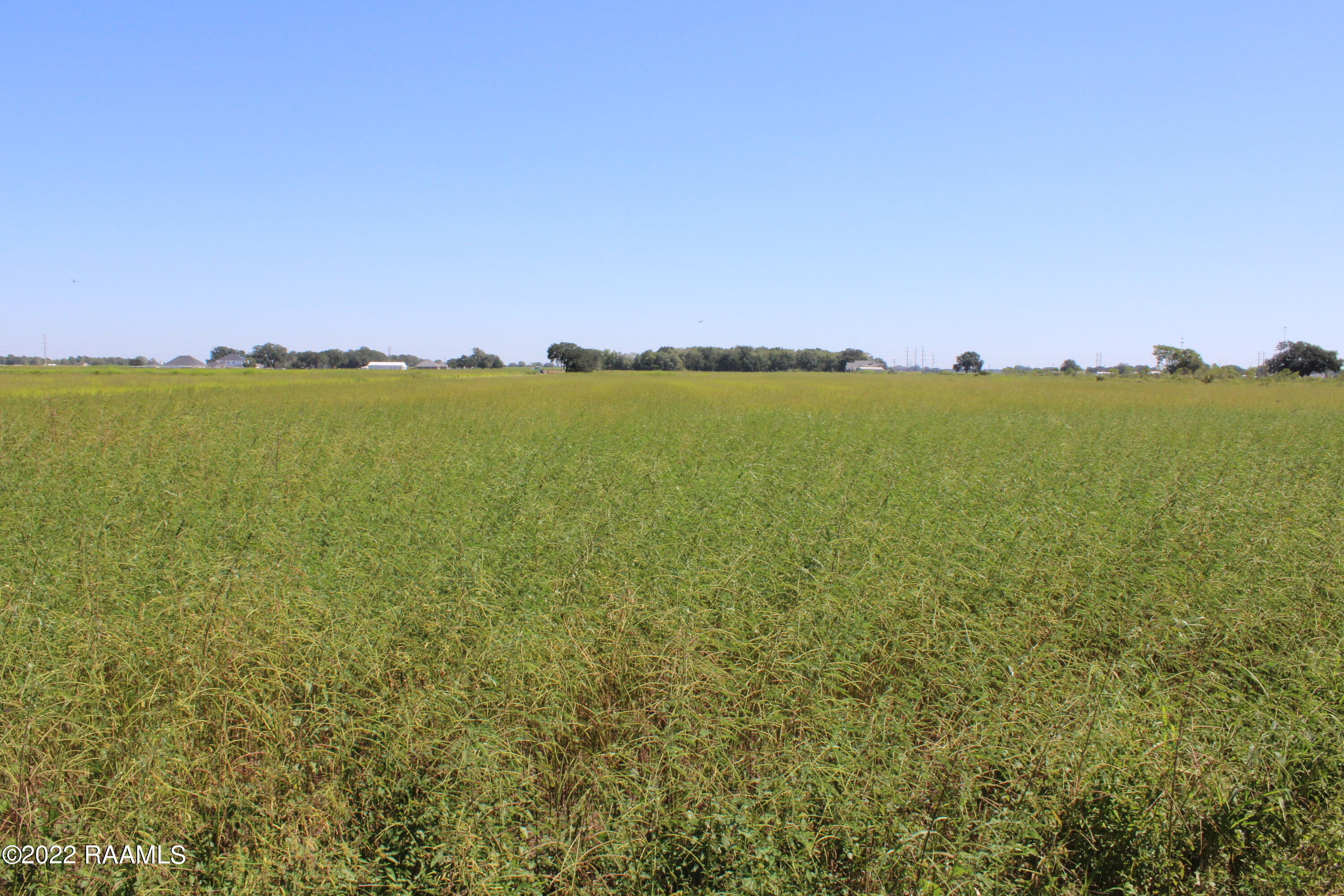 Tbd Napoleon Road Maurice, LA 70555 - Photo 3 of 3 IMG_0112
