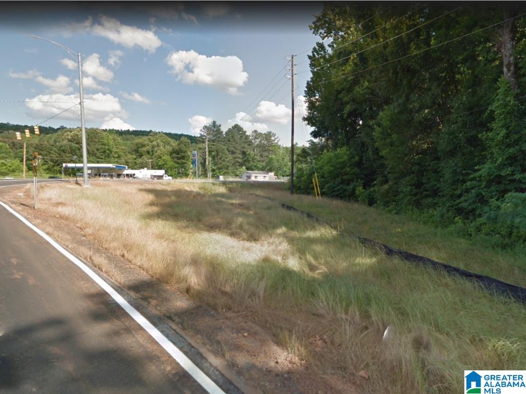 0 Highway 431 Ohatchee, AL 36271 - Photo 3 of 5