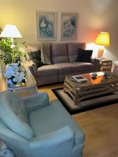 a living room with furniture and a lamp