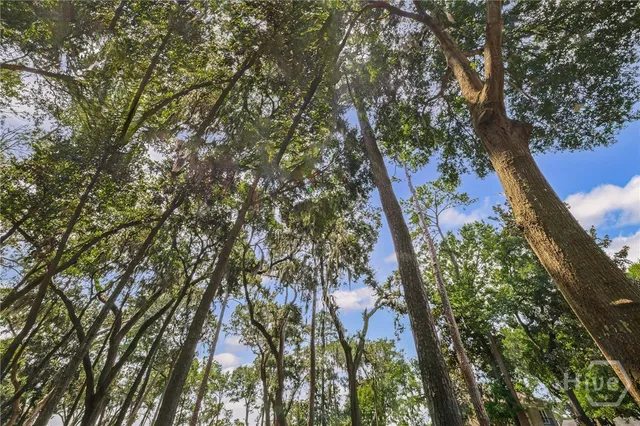 $799,000 | 3 Judsons Court, Savannah, GA 31410